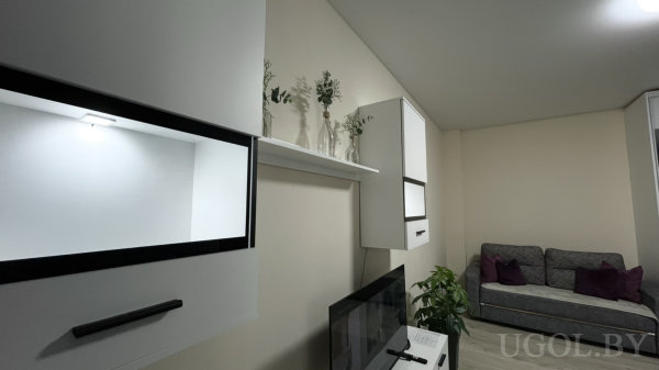 Белые навесные шкафы, ТВ на тумбе, стеклянные вазы с зеленью, серый диван с фиолетовыми подушками и нейтральные стены.