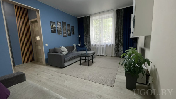 Синяя стена с фото, серый диван, белая ТВ-зона, крупное окно с тюлем и портьерами, напольное растение.