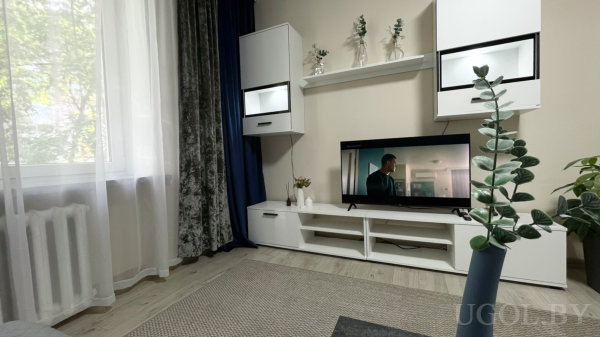 Телевизор на белой тумбе, навесные шкафы и полка с растениями, окно с многослойными шторами, светлый деревянный пол.