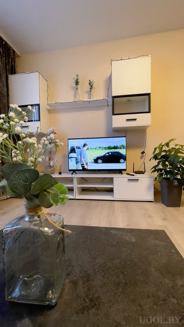 Белая ТВ-тумба, навесные шкафы, полка с вазами и гирляндой, крупное растение и стеклянная ваза с цветами на столике.