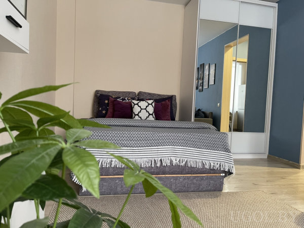 Серое покрывало с бахромой, фиолетовые и белые подушки, крупное зелёное растение и отражение комнаты в шкафу-купе.