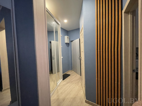 Синие стены, светлый пол, зеркальный шкаф-купе, вертикальные деревянные рейки и подвесной шкаф у входа создают современный стиль.