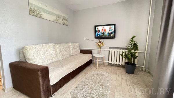 Диван с чехлом, картина с зимним лесом, телевизор, столик с вазой и зелёное растение.