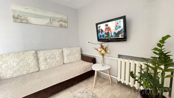 Светлый диван с подушками, картина с пирсом, телевизор, столик с цветами и серые шторы.