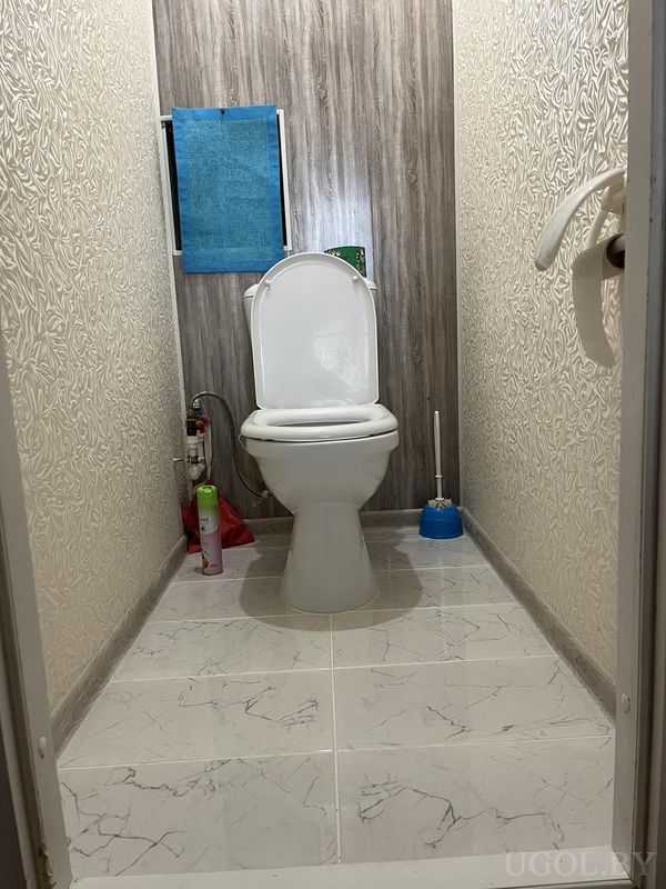 Узкий туалет с белым унитазом, деревянной стеной, зеркалом, синим полотенцем и чистящими средствами по бокам.