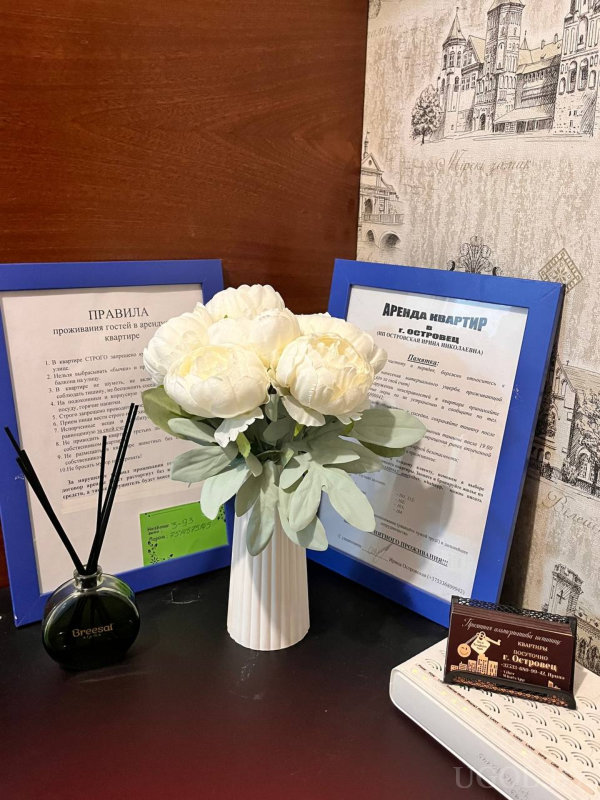 Белая ваза с пионами, аромадиффузор «Breesal», рамки с правилами проживания и предложениями аренды, карточки с ценами и визитка.