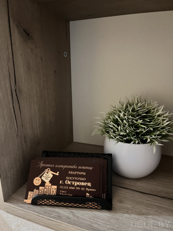 Полка с искусственным растением и визитками с контактами для аренды квартир в городе «Островец».