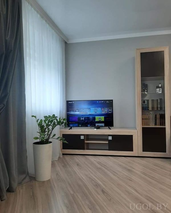 Уютная гостиная с телевизором на светлой тумбе, витриной с дверцами из стекла и высоким зелёным растением.