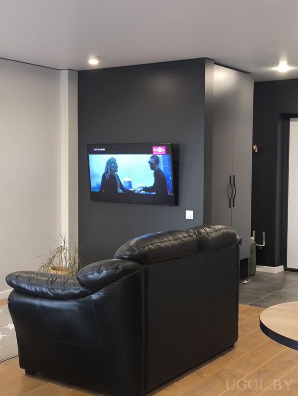 Современная гостиная с чёрным диваном, телевизором на тёмной стене, растением в горшке и деревянным полом.