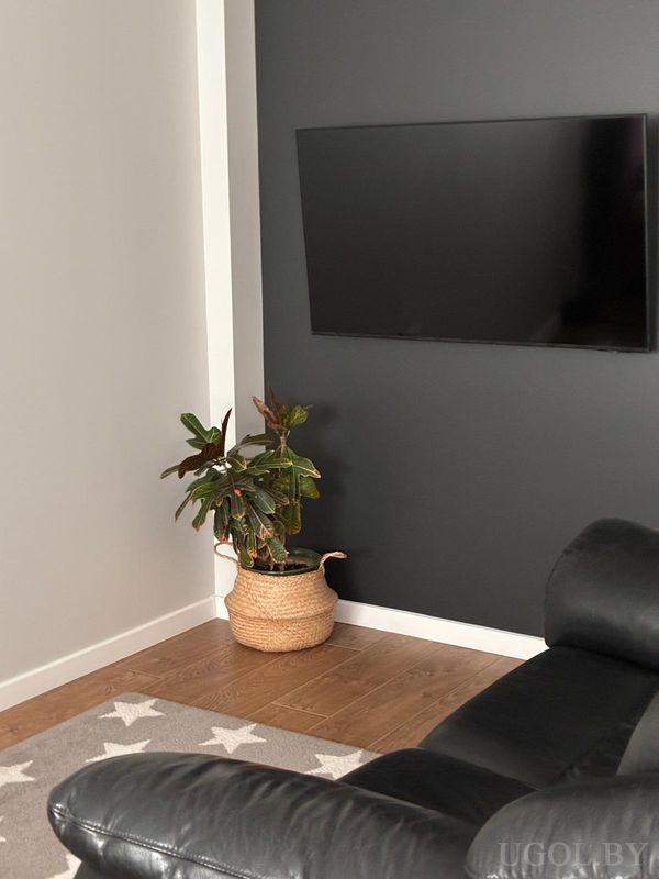 Уютная гостиная с чёрным диваном, ковром со звёздным узором, телевизором на тёмной стене и растением в плетёном горшке.