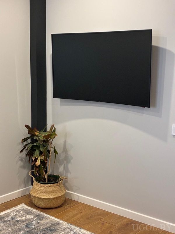 Современный интерьер с телевизором на стене, плетёным кашпо с растением и деревянным полом.