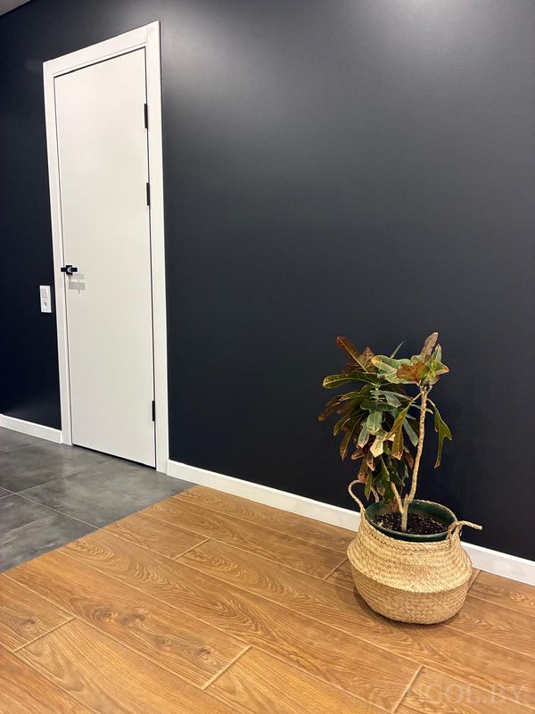 Уютный интерьер с белой дверью, тёмной стеной, деревянным полом и растением в плетёном кашпо.