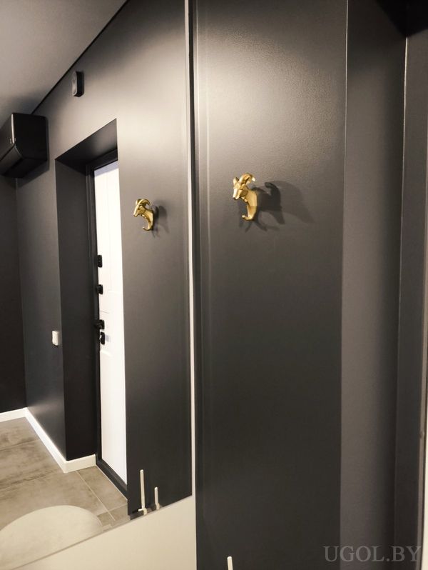 Современная прихожая с белой дверью, тёмной стеной, зеркалом и латунным крючком в виде головы барана.