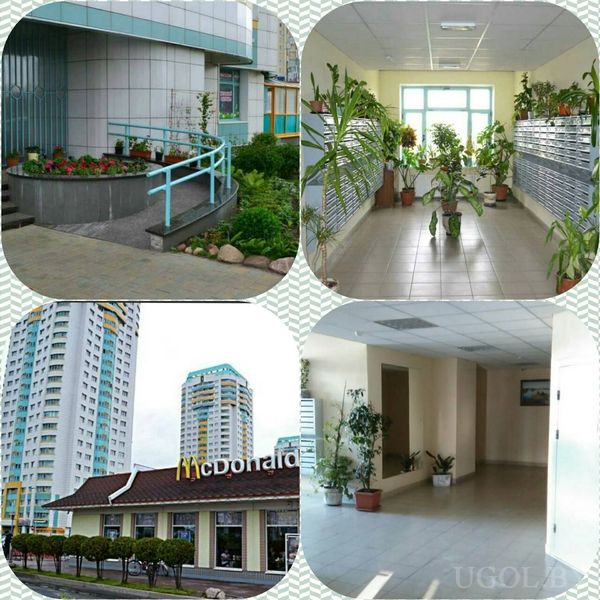 Коллаж видов подъезда и окрестностей